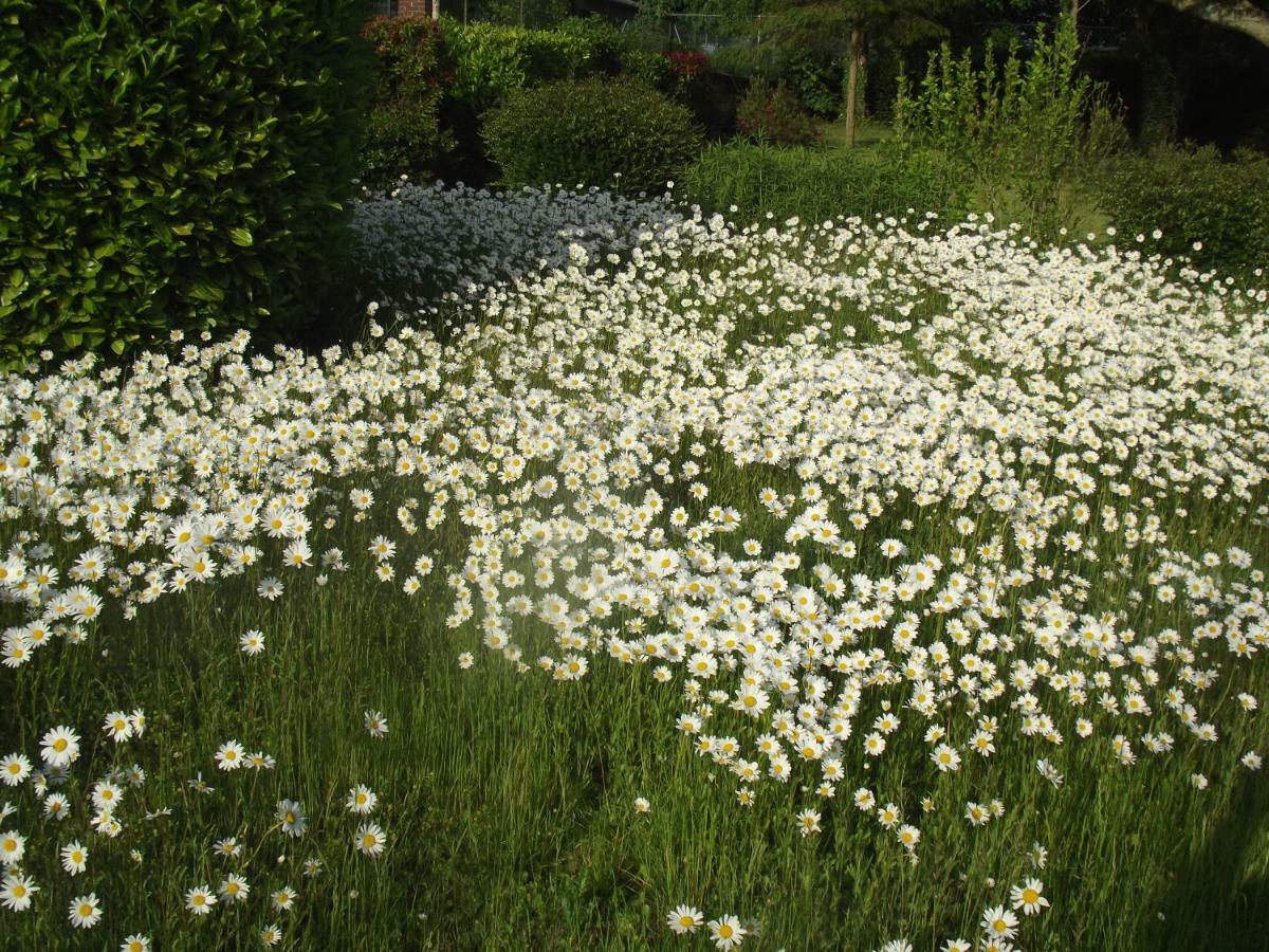 Bed and Breakfast Wastine Buigny-Saint-Maclou Esterno foto